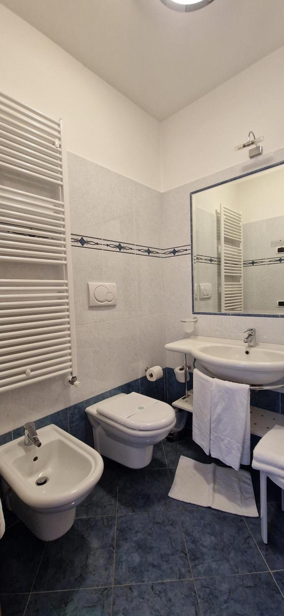 Roy Hotel Malga Ciapela