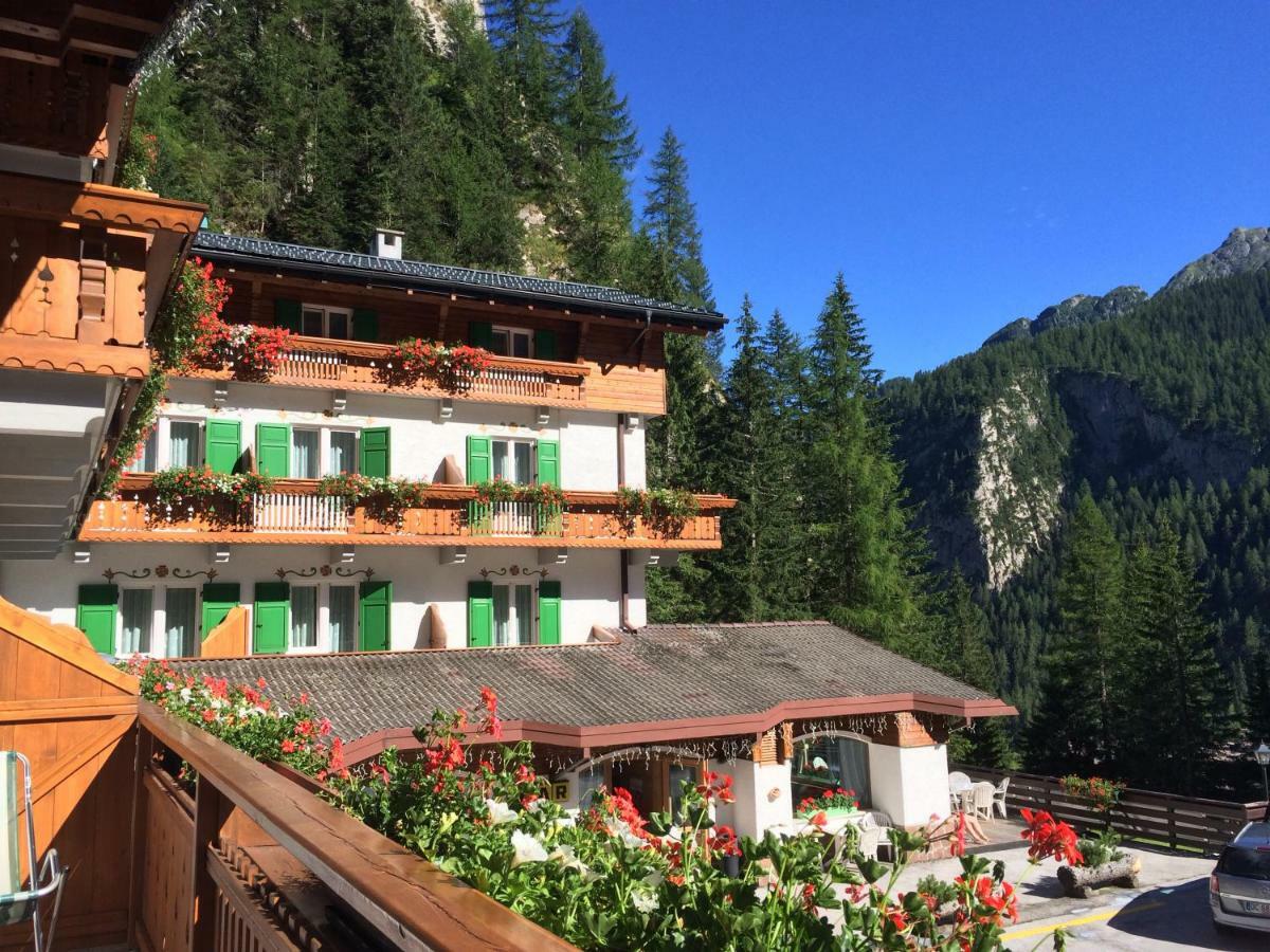 Roy Hotel 3*